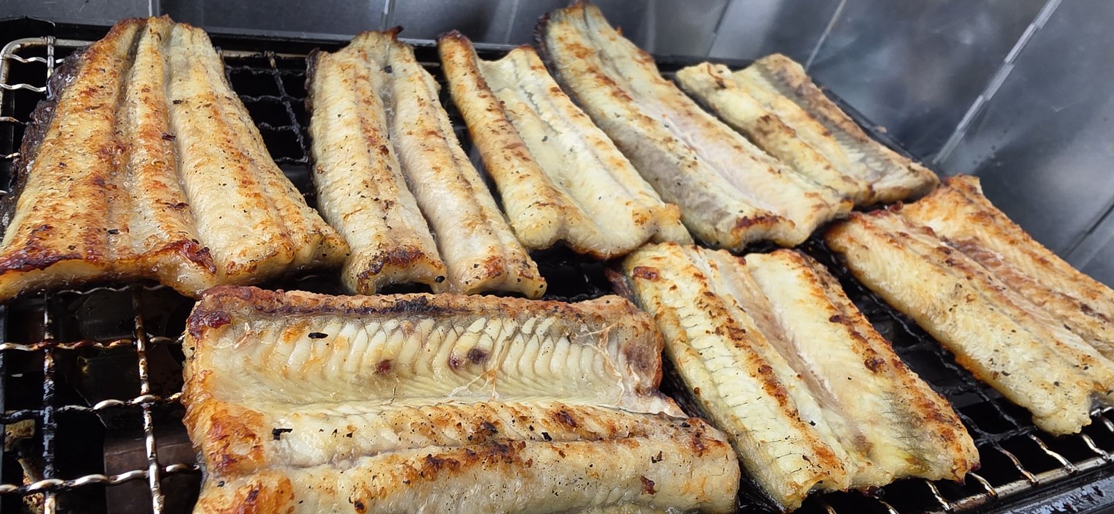 網の上で焼かれている、開いた天然ウナギの白焼き